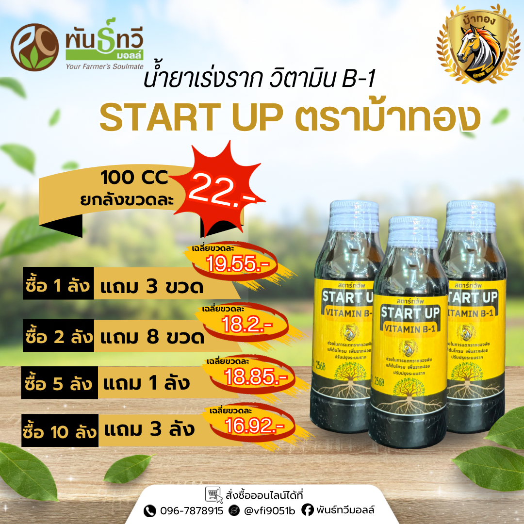 สตาร์ทอัพB-1 ม้าทอง